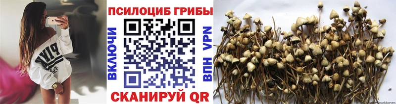 Галлюциногенные грибы Magic Shrooms  продажа наркотиков  Рязань 