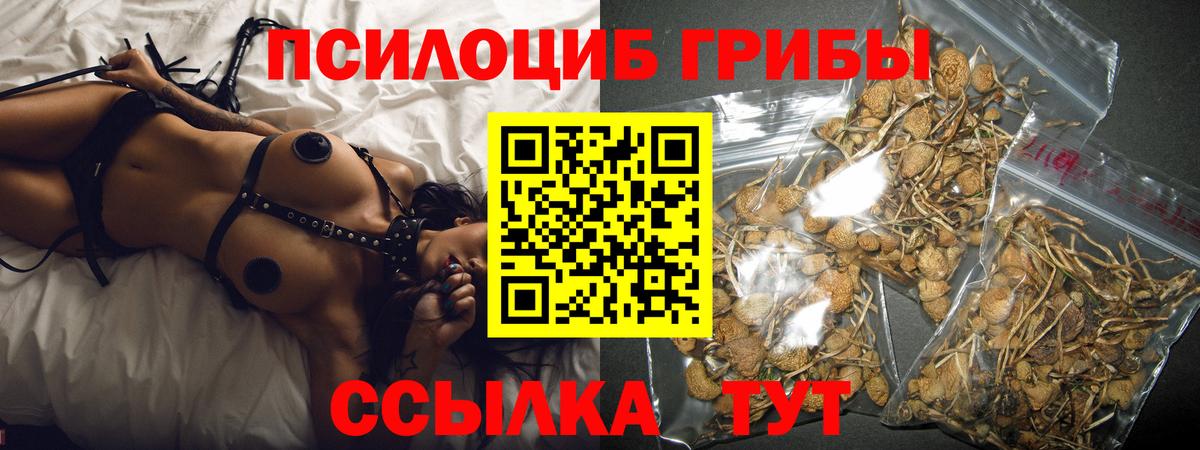 Галлюциногенные грибы Psilocybine cubensis  Вход с VPN  Рязань 